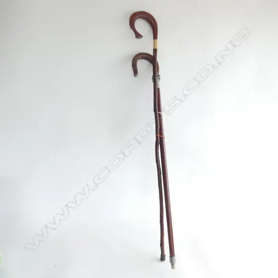 SHOOTING STICK & WALKING STICK