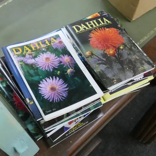 BOX NATIONAL DAHLIA SOCIETY MAGAZINES
