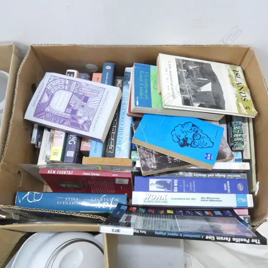 BOX LOT ASST. NOVELS; GAY INTEREST