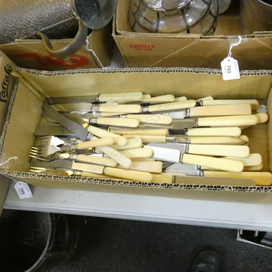 GOOD BOX LOT ASST BONE / FAUX BONE / CELLULOID HANDLE KNIVES & FISH KNIVES & FORKS 