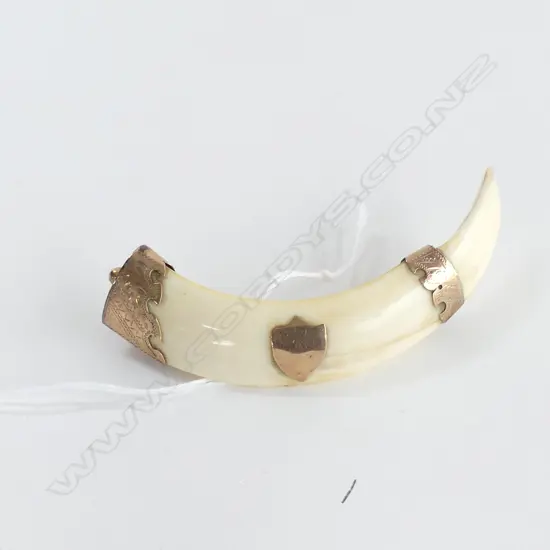 COLONIAL 9CT & BOAR'S TUSK BROOCH L.88mm