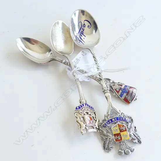 THREE SILVER AND ENAMEL SOUVENIR SPOONS 53gm