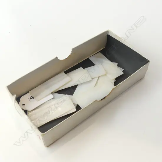 16 MOTHER OF PEARL CHINESE GAMING TOKENS  