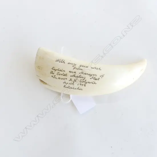 ENGRAVED SCRIMSHAW c.1958...