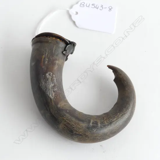 19TH CENT. CURLY HORN SNUFF BOX W. 80MM