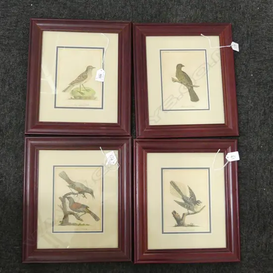 4 HAND COLOURED 18thC NZ BIRD ETCHINGS FROM JOHN LATHAMS BOOK 170x130mm...