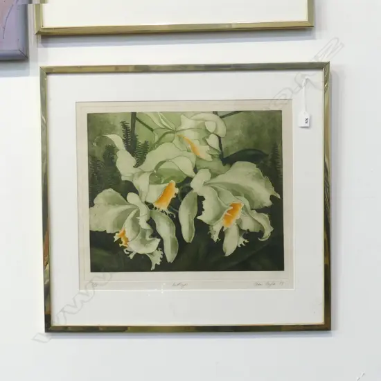 JOAN TAYLOR 'CATTLEYA' ETCHING 5/50 385x470mm
