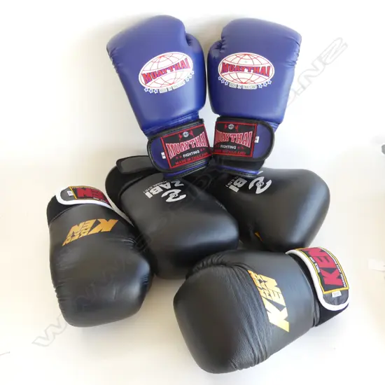 3 PAIRS (2 NEW) QUALITY BOXING GLOVES
