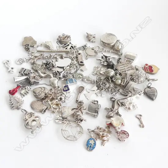 ASST. STG & SILVER METAL CHARMS 173 GRAMS