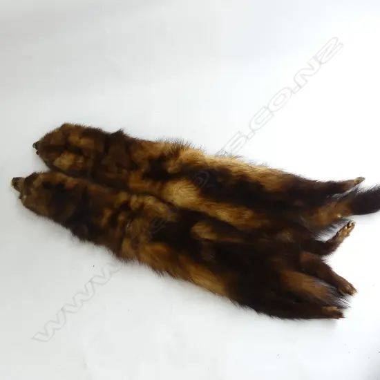 PR STOAT FURS - COLLARS?