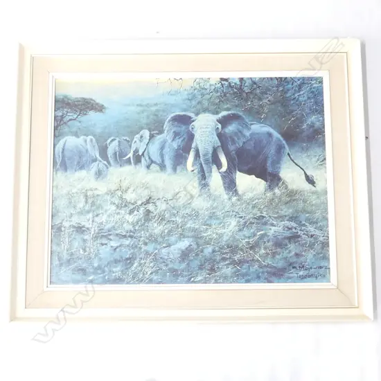 GEORGE MAJEWICZ 'ELEFANTENHERDE' PRINT 550x720mm, 