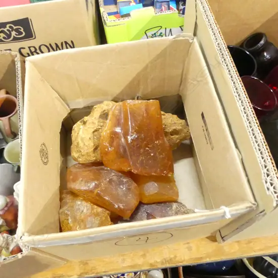 6 LG PCS KAURI GUM NUGGETS WEIGHT 2566 GMS