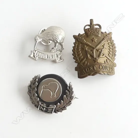 VINTAGE BRONZE NZ CADET CORPS BADGE & 2 OTHER KIWI & SILVER FERN PINS