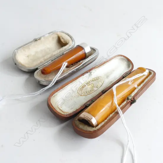 2 CASED AMBER CIGAR HOLDERS