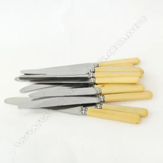12 ASST BONE HANDLE KNIVES
