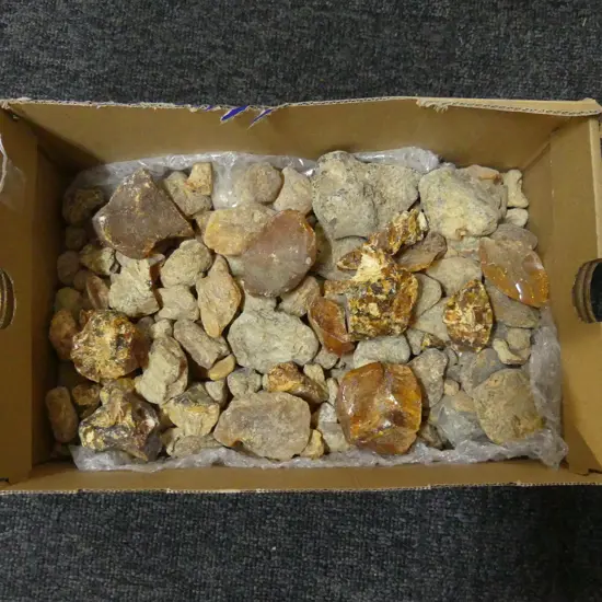 GOOD BOX LOT KAURI GUM NUGGETS