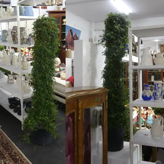 PAIR LARGE IVY TOPIARY PILLARS H.1680mm