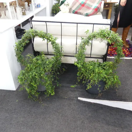 PAIR IVY TOPIARY HOOPS H.800mm