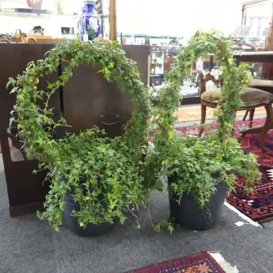 PAIR IVY TOPIARY HOOPS H.800mm