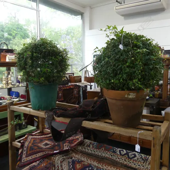 PAIR IVY TOPIARY BALLS H.600mm