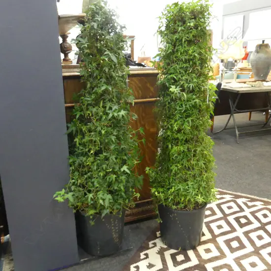 PAIR MEDIUM IVY TOPIARY PILLARS H.1320mm
