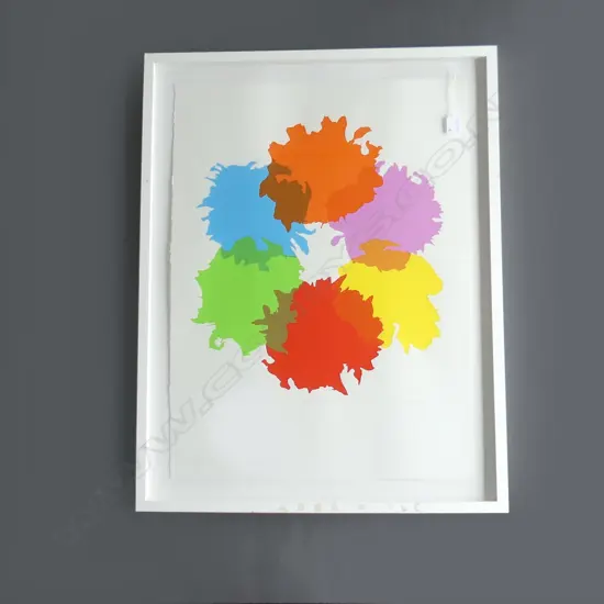 SARA HUGHES 'KZSPYGV' SCREEN PRINT 760 x 560mm 20/60 SIGNED & DATED 2008