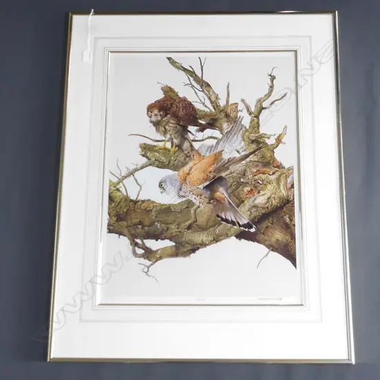 RAYMOND CHING 'KESTRELS' PRINT 423/850 630 x 465mm