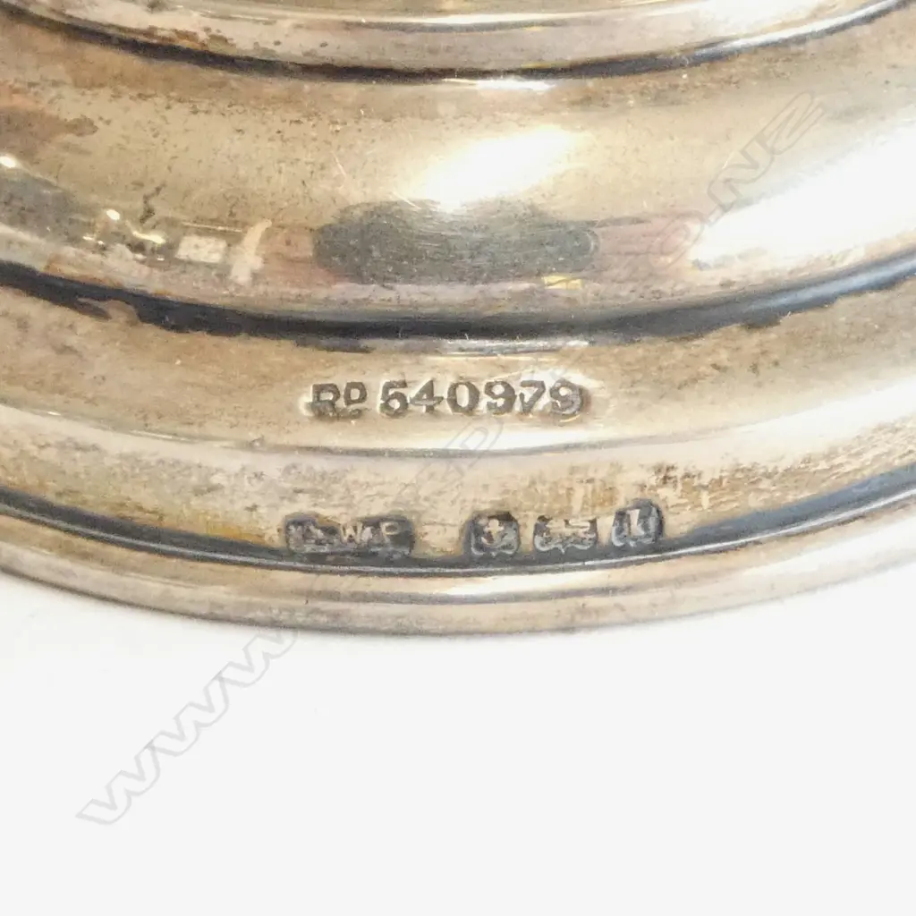 An uncommon boar's bristle and sterling silver nib wipe, Image 1++