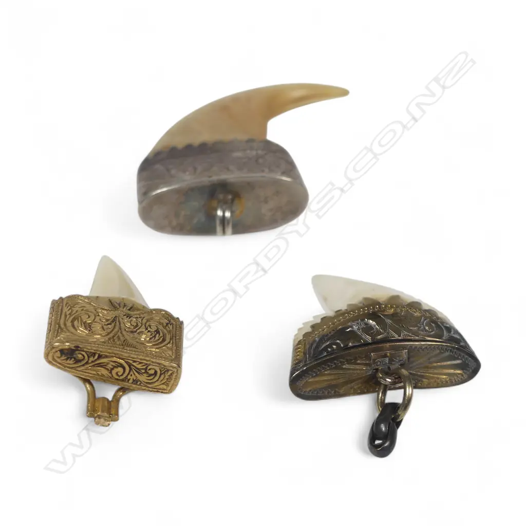 A tiger's claw pendant in unmarked silver mount, a shark's tooth in 9ct gold mount and another in unmarked gold mount. Image 1++