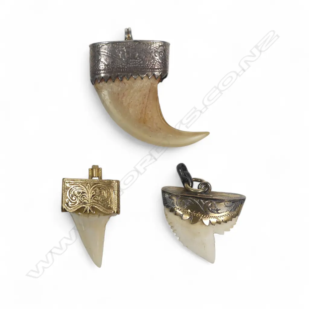 A tiger's claw pendant in unmarked silver mount, a shark's tooth in 9ct gold mount and another in unmarked gold mount. Image 1++