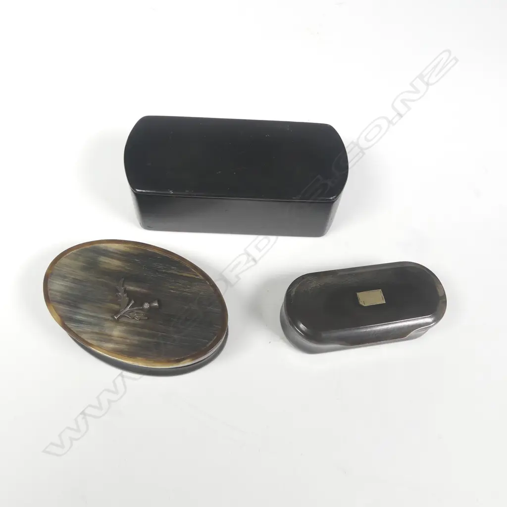 Three 19thC snuff boxes, Image 1++