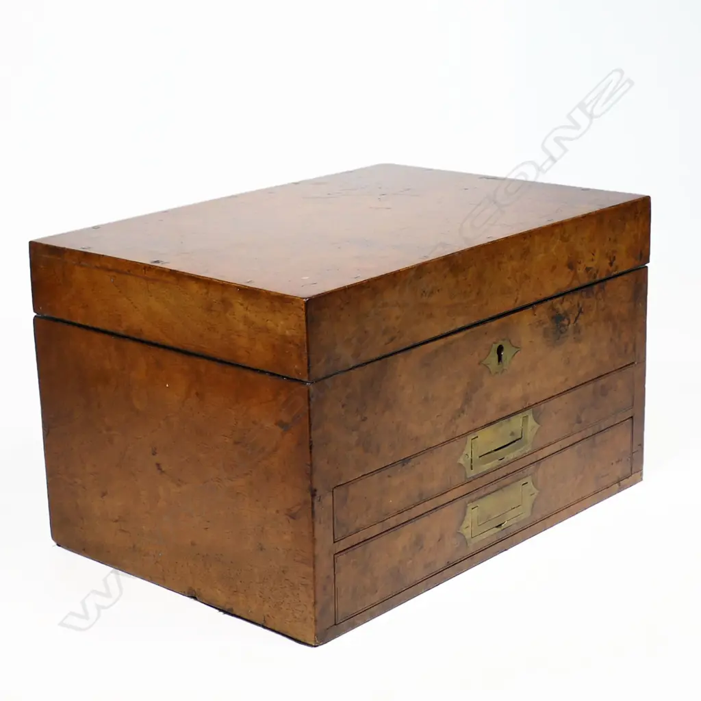 A 19thC homeopathic apothacary box with two fitted drawers, Image 1++