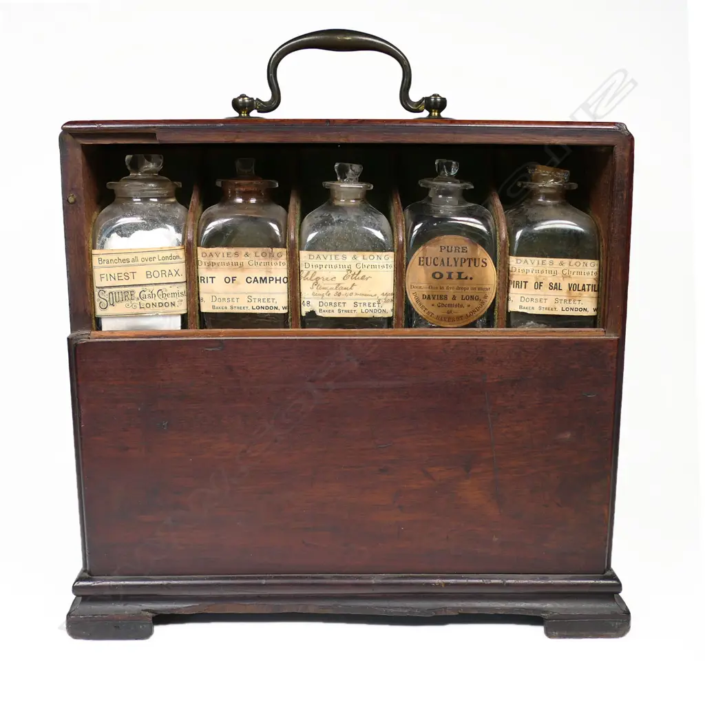 A good 19thC Cuban mahogany apothecary box, of plain oblong section with top brass bale handle and raised on ogee bracket feet, Image 1++