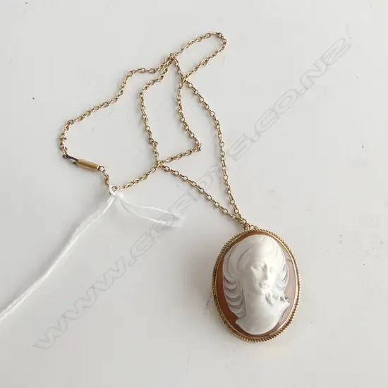 9CT GOLD FRAMED CAMEO PENDANT / BROOCH ON 9CT GOLD NECK CHAIN 12gms