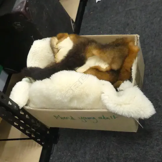 BOX LOT SHEEPSKIN & POSSUM FURS
