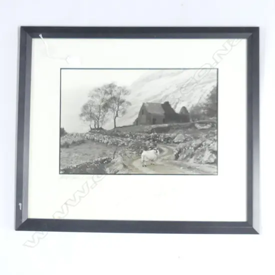 GILES NORMAN PHOTOGRAPHIC PRINT 'SHEEP & TREES' IRELAND 295x440mm SIGNED