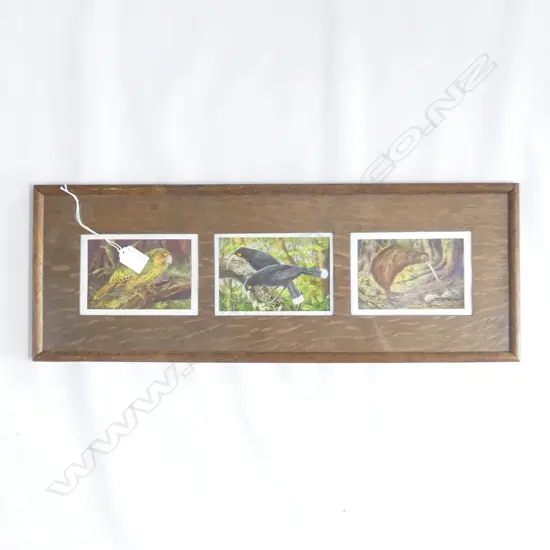 NZ BIRD PRINTS (3) IN OAK FRAME 200x580mm