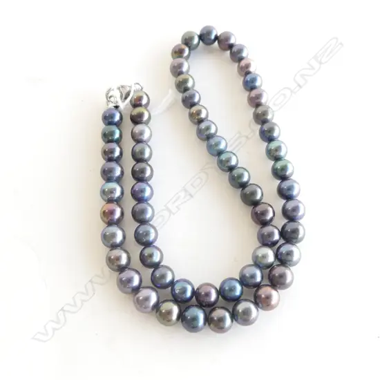 BLACK PEARL NECKLACE WITH STG SILVER  PARROT CLASP