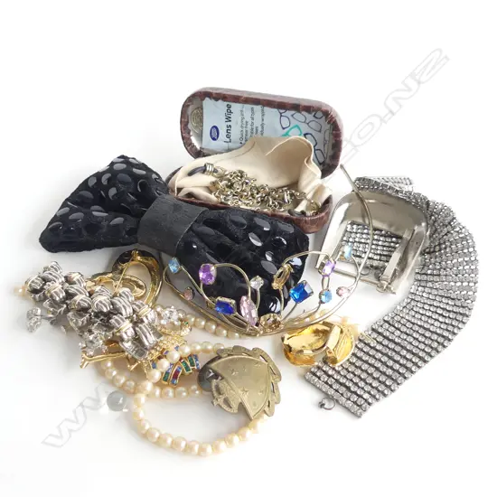 BAG ASST COSTUME JEWELLERY ETC.