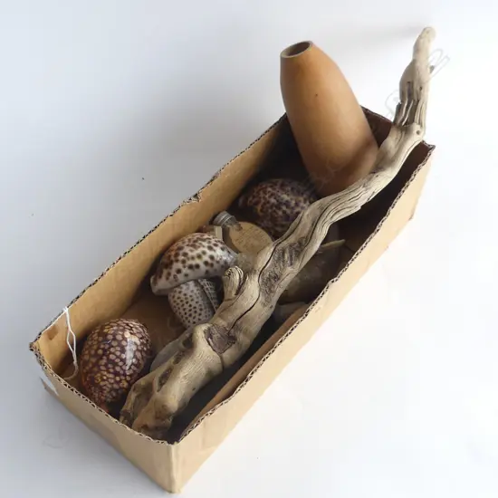 BOX SHELLS + FIJIAN COMB + SMALL GOURD ETC
