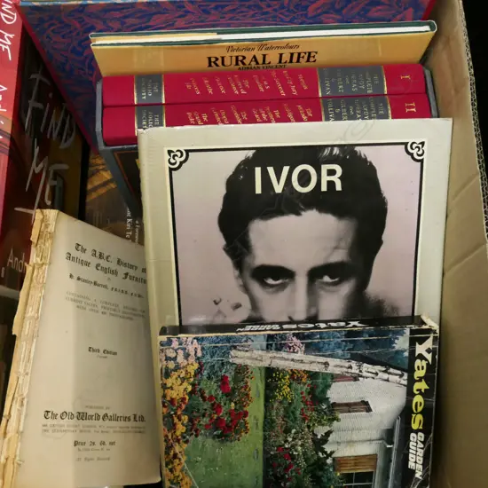BOX LOT ASST. BOOKS; EARLY VICT. PORTRAITS ETC