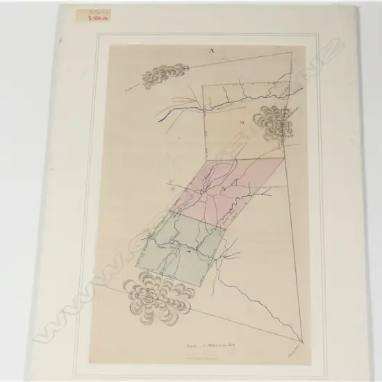 An index survey of triangulation Waikato Land District between the Waikato River and Mt. Pirongia hand coloured