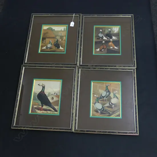 SET 4 FRAMED LUDLOW PIGEON PRINTS  210 X 170MM