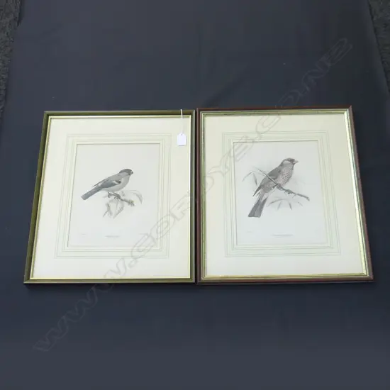2 FRAMED BIRD PRINTS 240 X 300MM