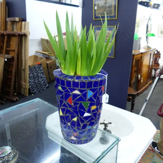 POTTED POOR KNIGHTS LILY H.500mm