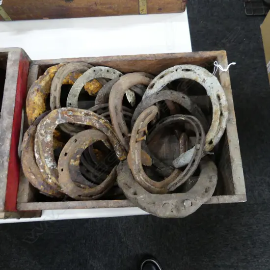 BOX ASST OLD HORSE SHOES 