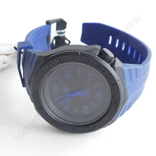 BLUE CAT WATCH 