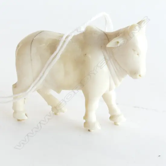 IVORY BULLOCK L. 55MM
