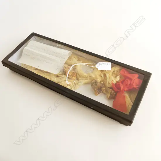 BOX OF PLATTED KAURI GUM 