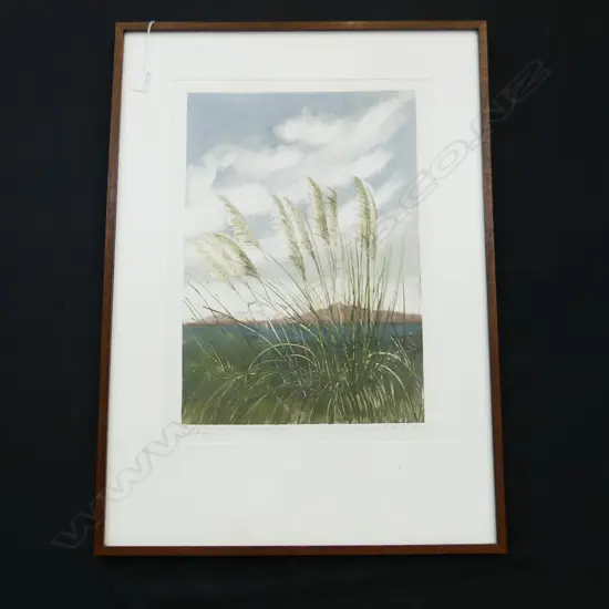 JUNE RITCHIE NZ 'END OF SUMMER PAMPAS, HOBSON', MONOTYPE PRINT SIGNED, 1985  330 X 530MM